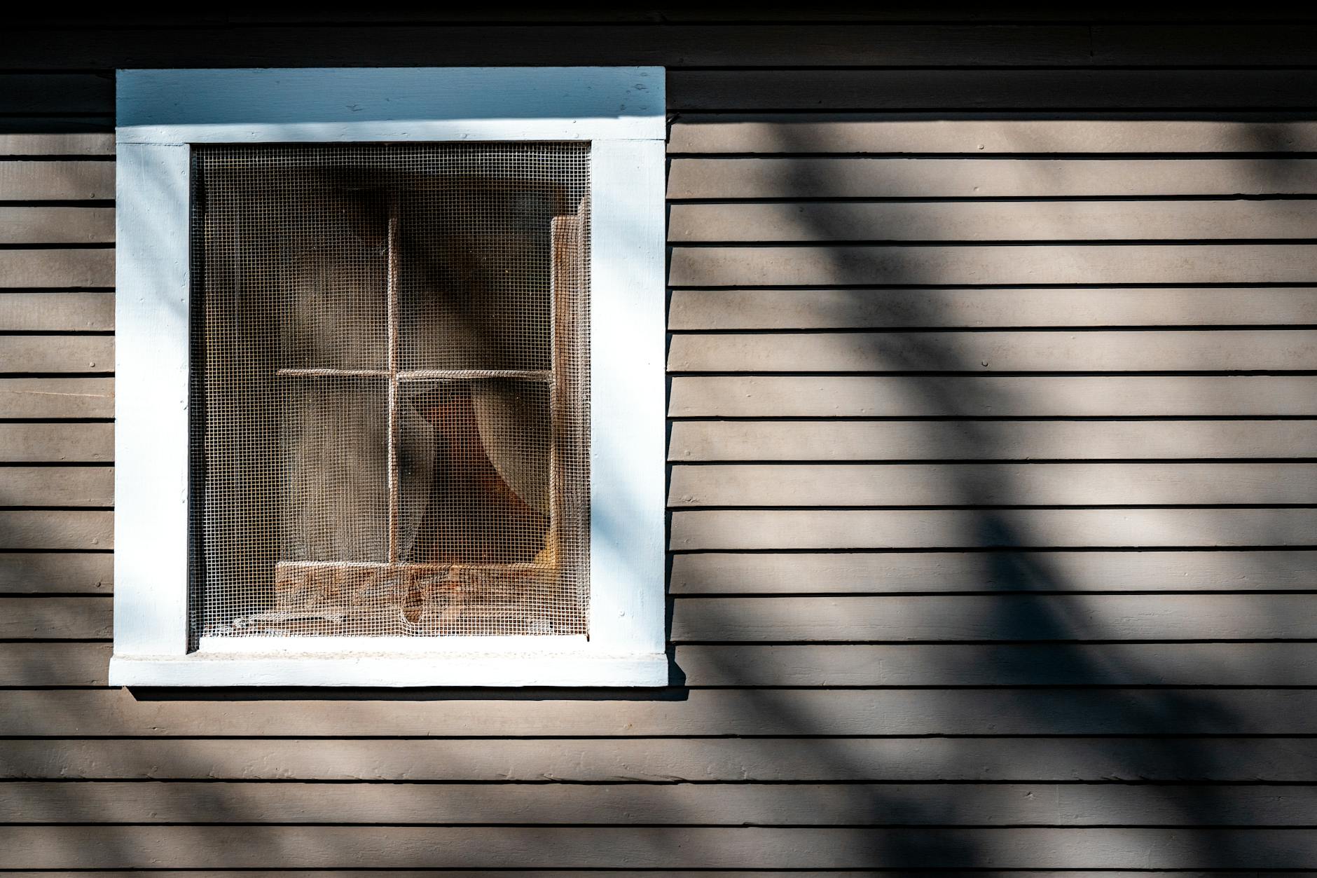 A rustic wooden house exterior showcasing a window with a mosquito net casting shadows in sunlight.