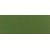 12 - Verde Oliva RAL 6011