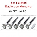 Set 5 Motori Radio con Manovra di Soccorso tende da sole – 30 Nm | 60 Kg Set 5 Motori Radio con Manovra di Soccorso tende da sole – 30 Nm | 60 Kg