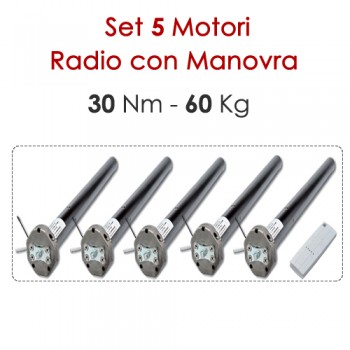 Set 5 Motori Radio con Manovra di Soccorso tende da sole – 30 Nm | 60 Kg