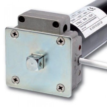 Motore con Manovra per Tende da Sole – 80 Nm | 160 Kg