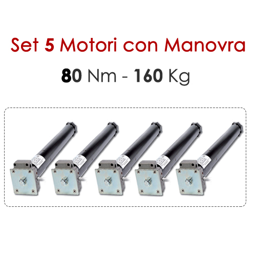 Set 5 Motori con Manovra - 80 Nm | 160 Kg
