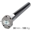 Motore con manovra - 50 Nm | 100 Kg