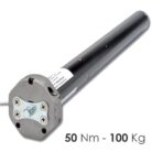 Motore con manovra - 50 Nm | 100 Kg