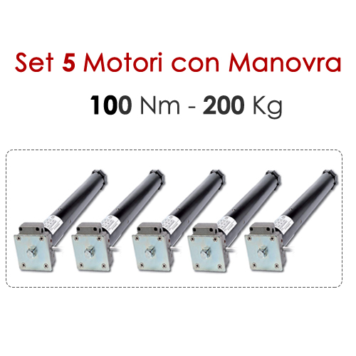 Set 5 Motori con Manovra - 100 Nm | 200 Kg