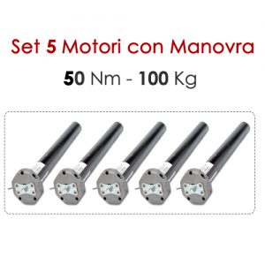 Set 5 Motori con Manovra 50 Nm | 100 Kg