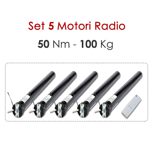 Set 5 Motori Radio - 50 Nm | 100 Kg